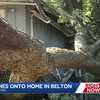 Pop-up storms send tree through roof of Belton home, causing problems for pair of neighbors