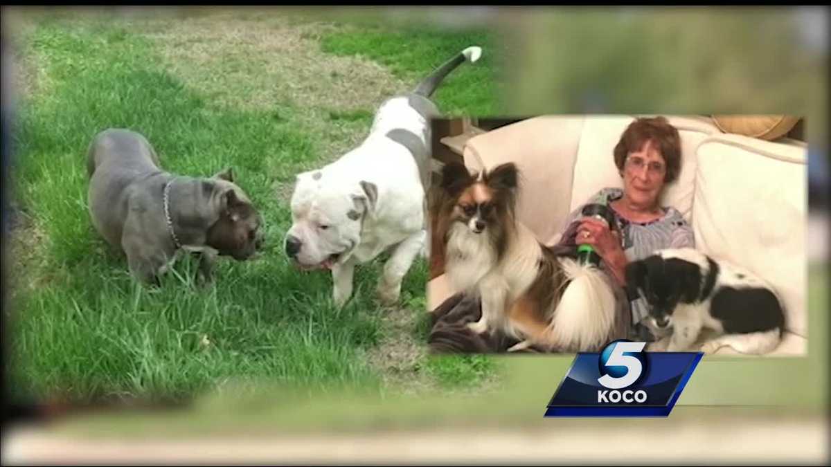 No charges, citations issued yet in connection with deadly dog attack
