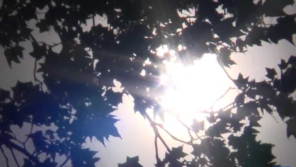 Rough allergy season Wisconsin has seen the highest pollen count in