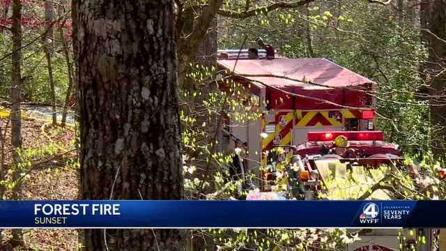 South Carolina: Structure fire turns forest fire - Vimarsana News