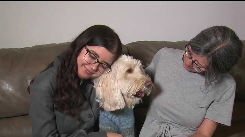 New Mexico woman awaits transplant results for second attempt - Vimarsana News