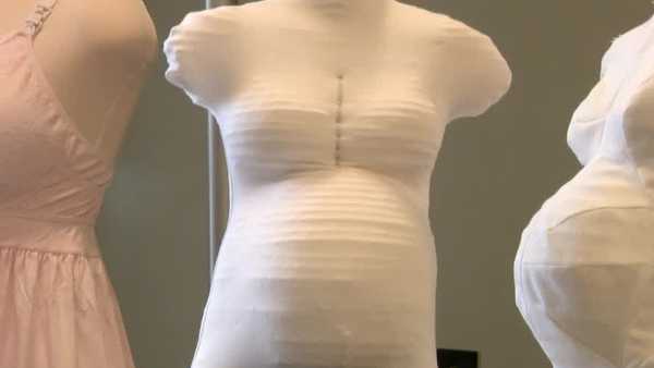 iowa state pair patents new bra for nursing mothers