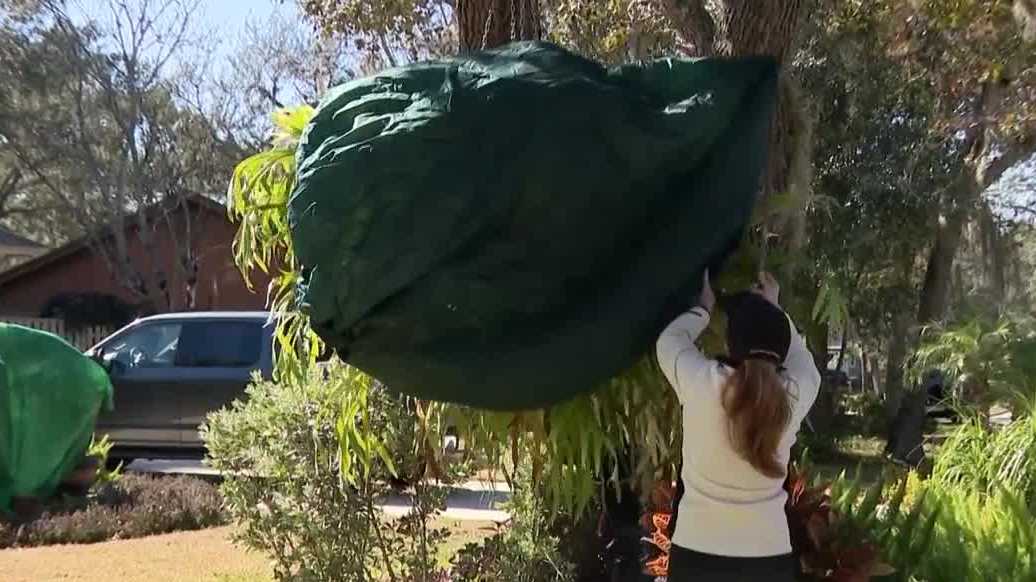 Central Florida's extreme cold: Prep your home, pipes and pools