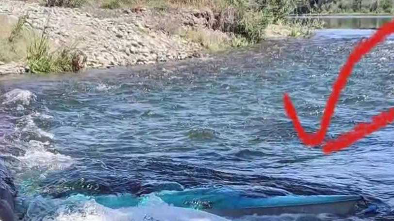 Kayaker warns others about hazard near American River - Vimarsana News