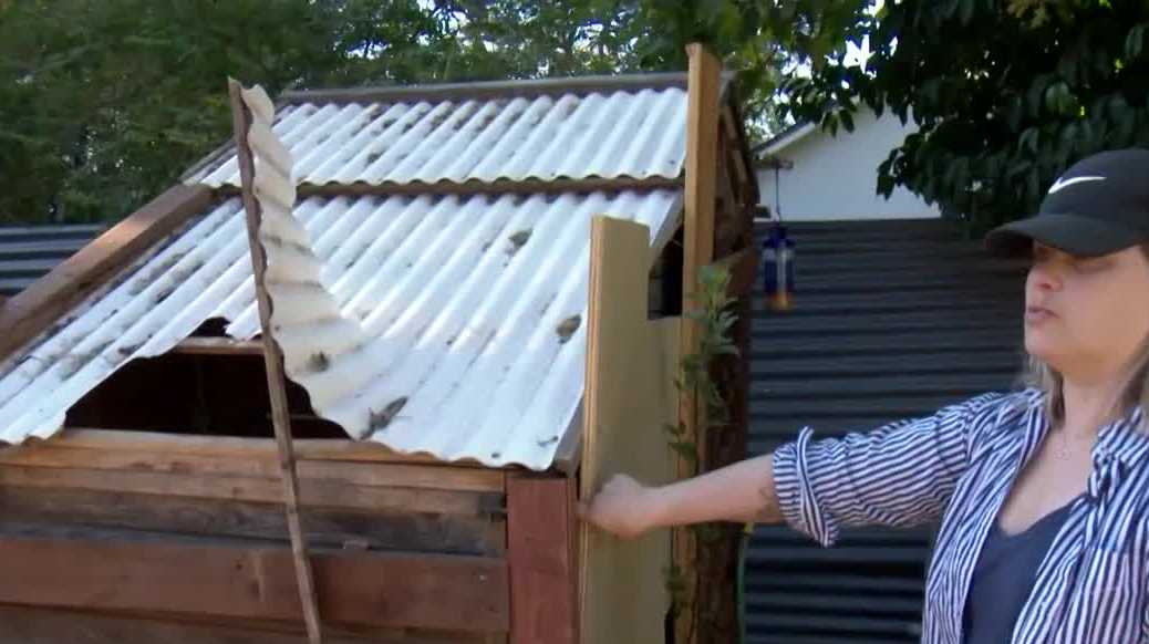 Auburn woman relocates farm animals after bear attacks on chicken coop