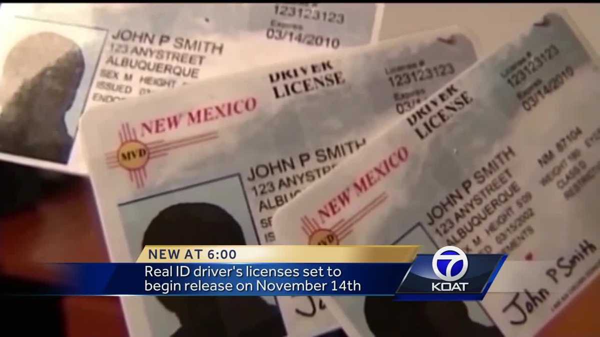 Real Id Drivers Licenses Rollout Begins Nov 14 9764