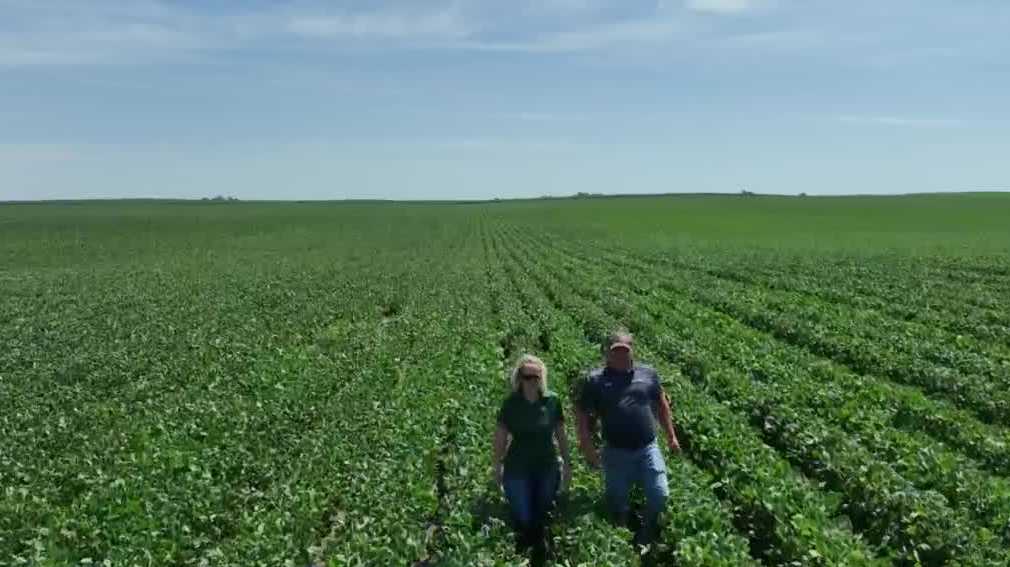 A tribute to a Pocahontas County farmer's father is hidden in plain sight - Vimarsana News