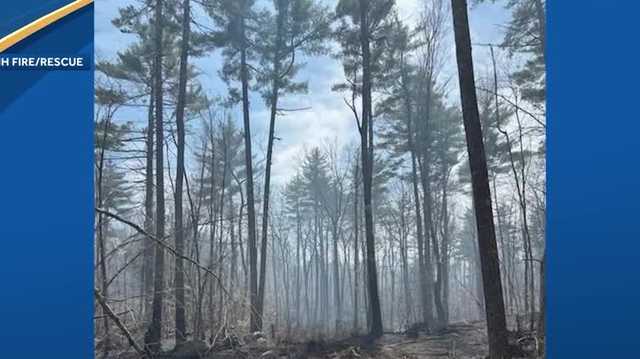 Around 70 firefighters and dozens of towns respond to forest fire in Effingham - Vimarsana News