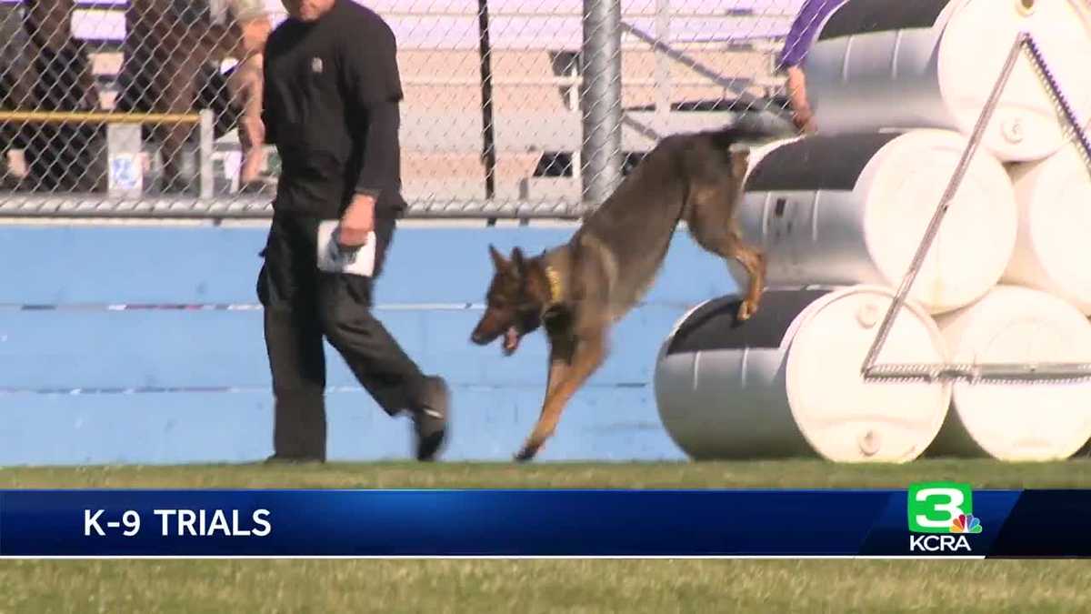 K9 Officers and their Partners Compete to be 'TopDog'
