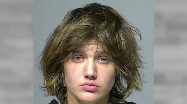 Mother killed with rock, court documents reveal daughter's violent past