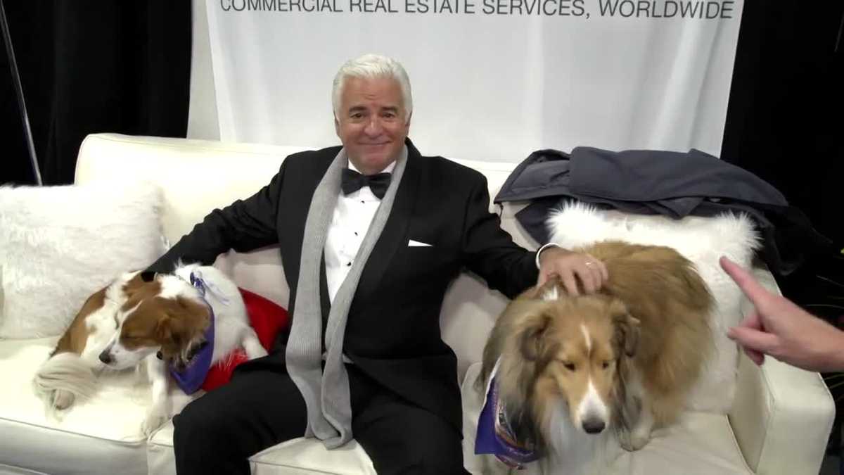 Behind the scenes at The National Dog Show