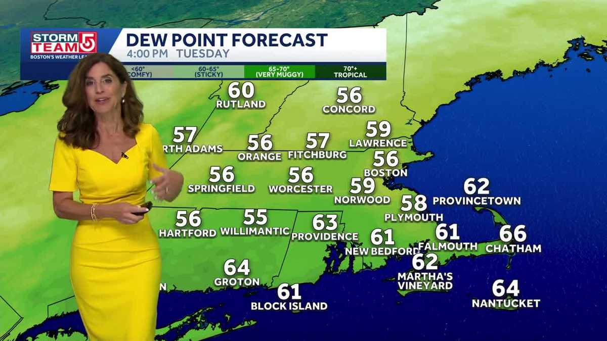 Warm evening with comfortable humidity
