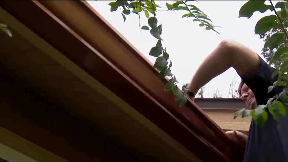 Home prep ahead of rain Central Florida is expecting this week - Vimarsana News