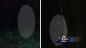 Teen faces charges after clown scare