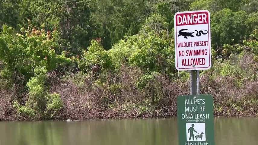 Alligator bites woman's arm in Marion County, officials say