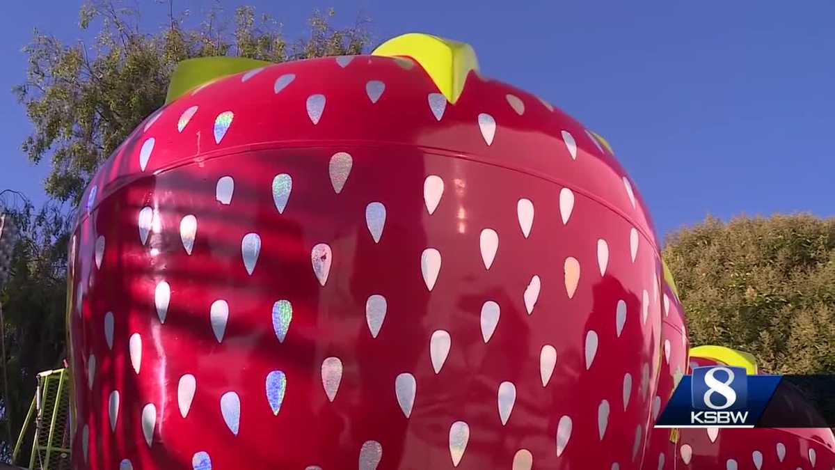 Watsonville Strawberry Festival going strong despite crop damage