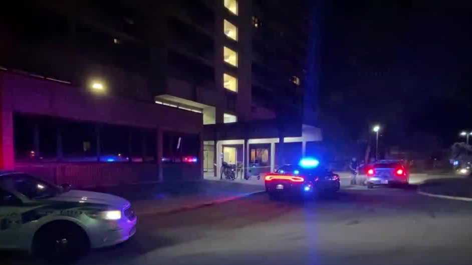 Assault News Image