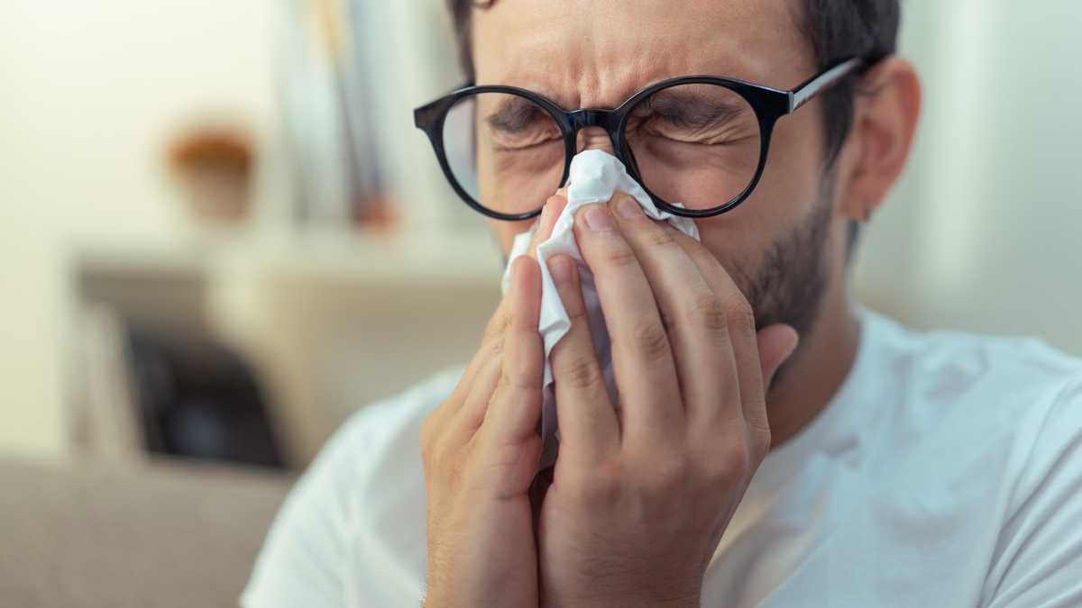 When does flu season start and end in the US?