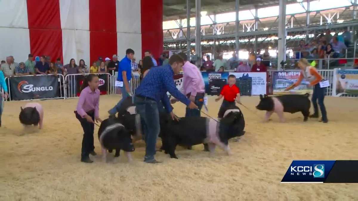 Swine fever concerns force cancellation of World Pork Expo