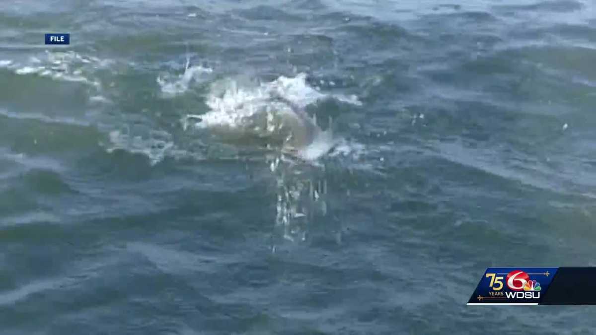 New regulations for anglers fishing for trout; The fishing community was greatly affected