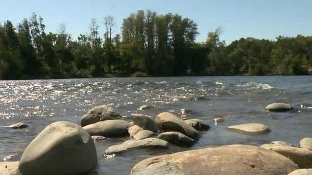 Crews build fish spawning habitats in lower American River