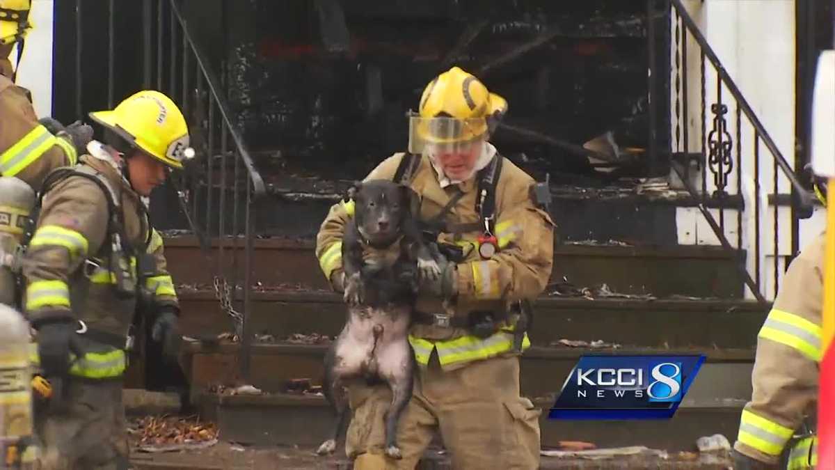 Iowa family relieved when dog pulled from house fire