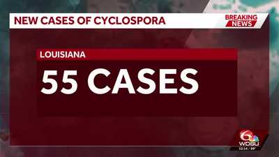 Cyclospora cases in Louisiana rise again. Here's what you need to know wdsu
