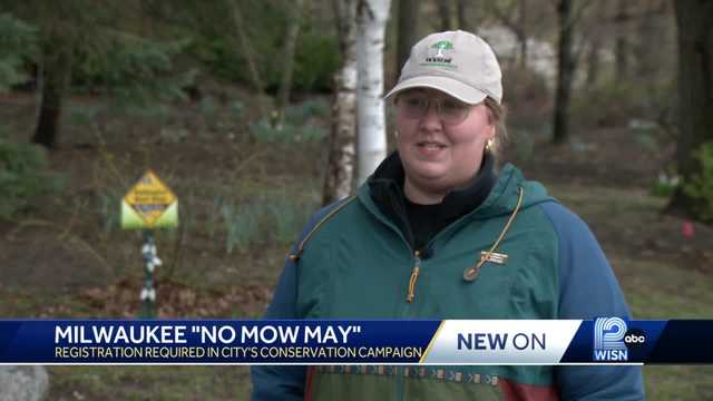 No Mow May initiative comes to Milwaukee - Vimarsana News