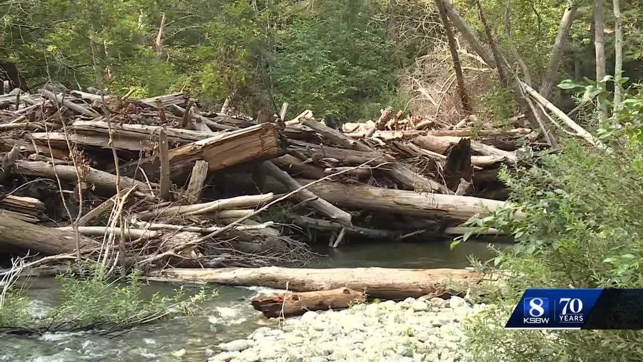 Log jam changes course of Big Sur River