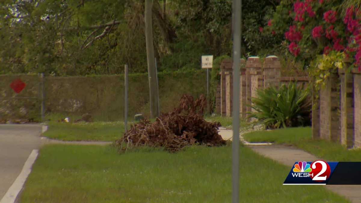 Drop off yard waste for free in Seminole County