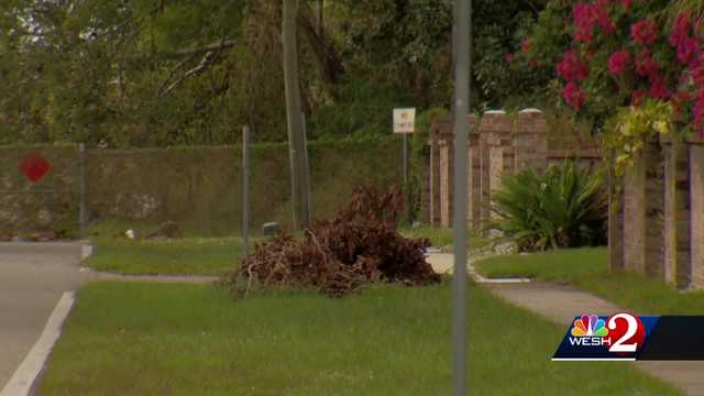 Drop off yard waste for free in Seminole County - Vimarsana News