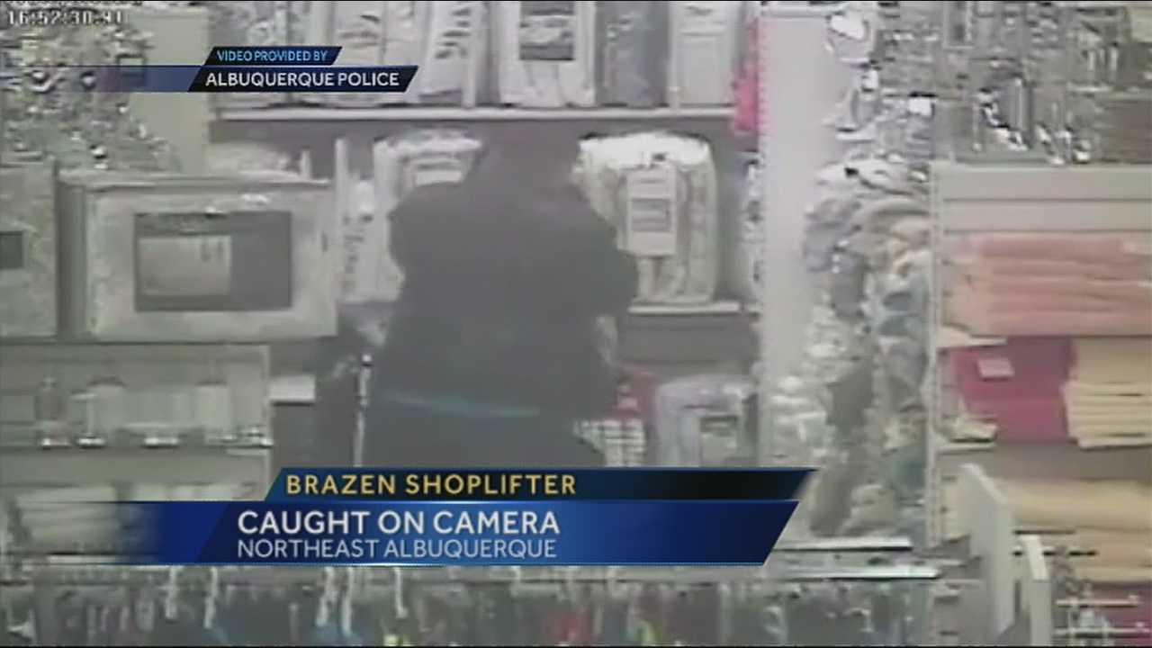 Repeat Purse Thief Caught On Camera At T-J Maxx