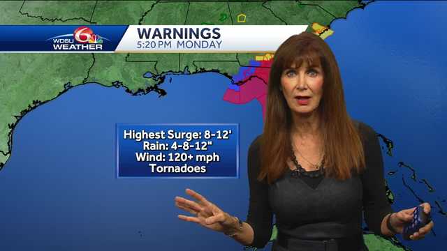 Idalia forecast to be hurricane tonight - Vimarsana News