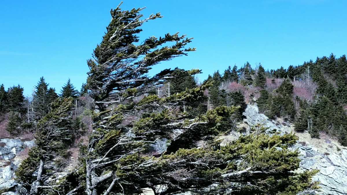 Grandfather Mountain experiences ﻿﻿hurricane-force winds, sets new wind ...