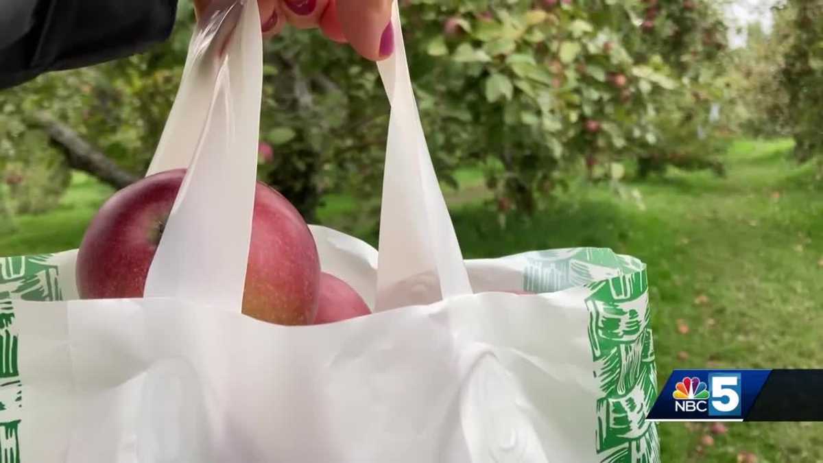 Apple picking Where you can get U Pick apples in Vermont, New York