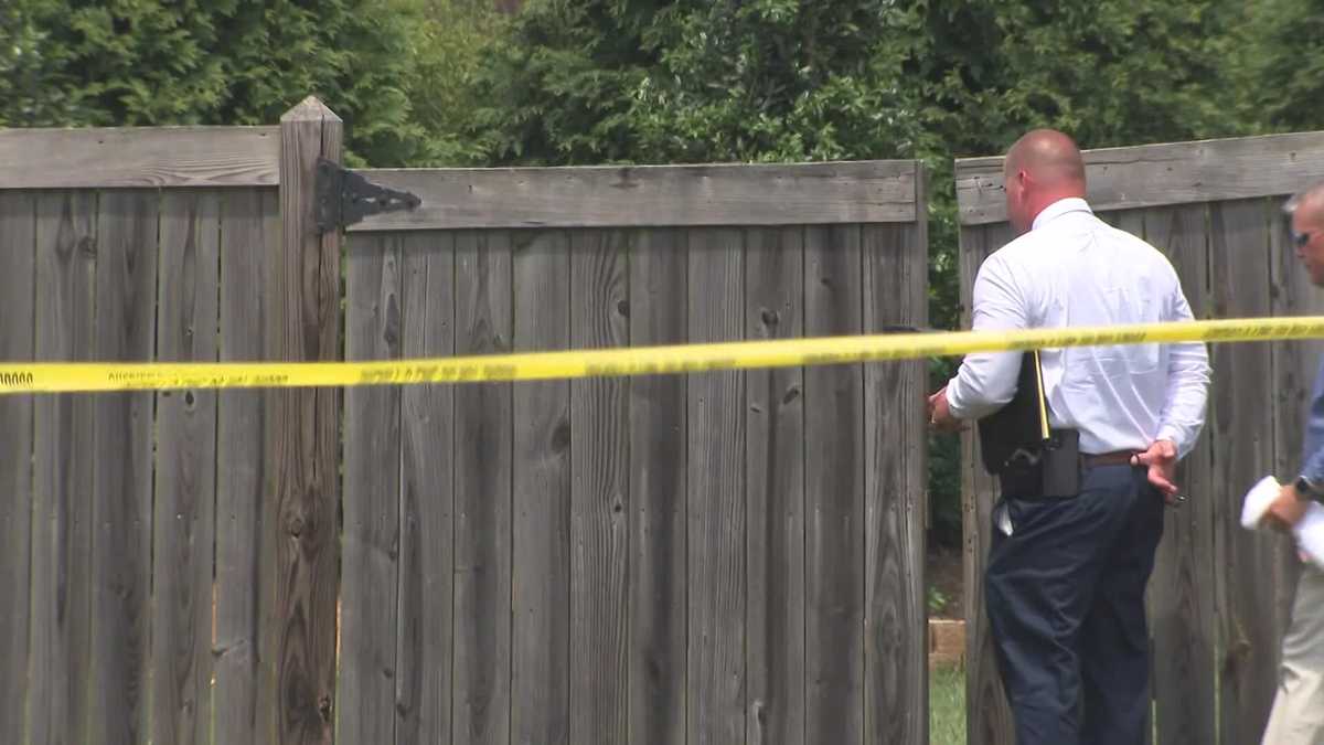 Man dies after being attacked by 2 dogs while dog sitting in North ...