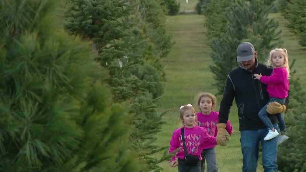Christmas tree farm enters into holiday season without beloved owner