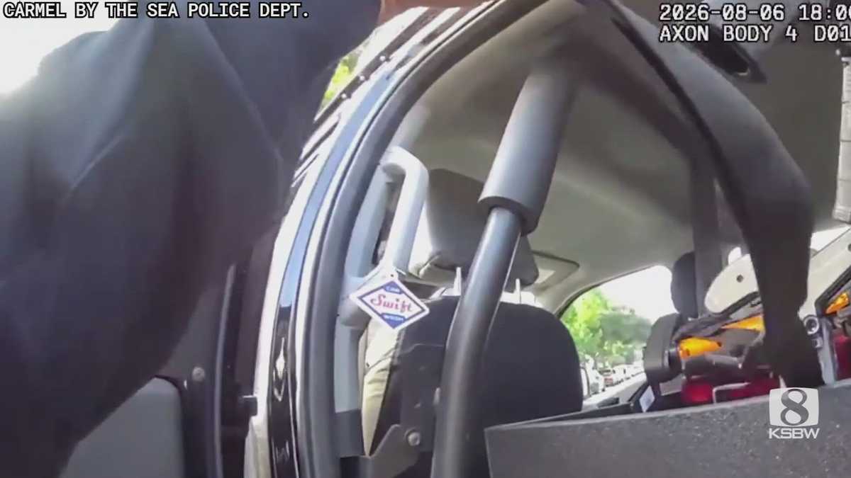 Video: Carmel police refuting claim officer aimed gun, yelled at man in car