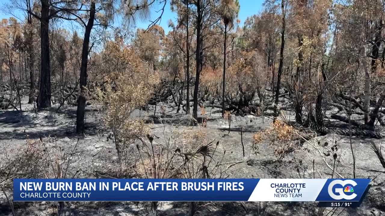 Charlotte County reinstates burn ban after Ranchettes fire destroys 45 ...