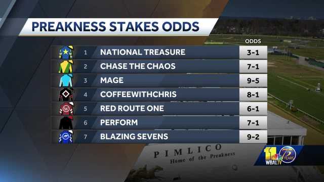 Handicapper analyzes 2023 Preakness field - Vimarsana News