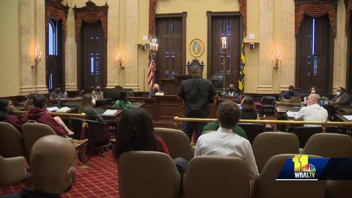 City Holds Public Hearing On Police Accountability Board
