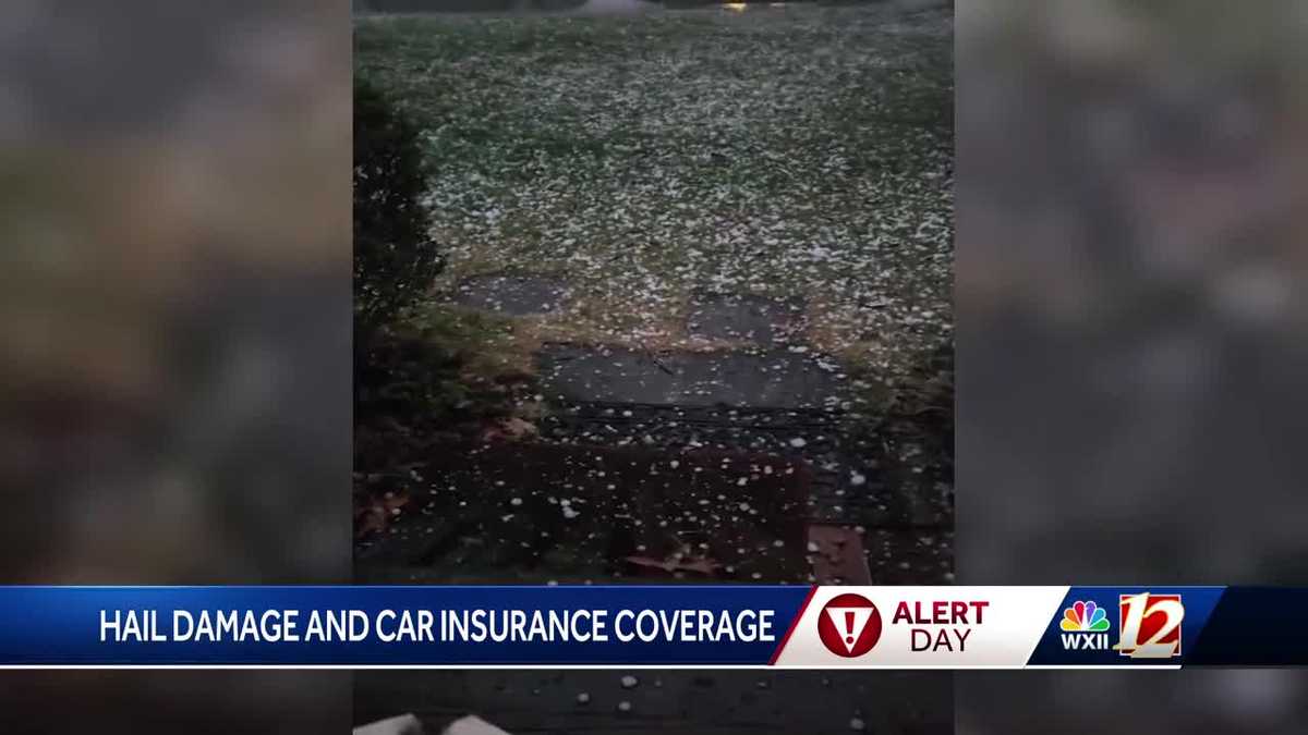 Insurance expert breaks down what to do if your home or car gets ...
