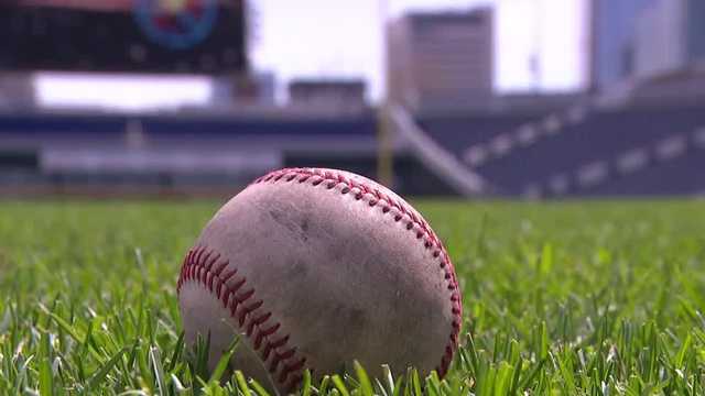 How does the CWS get its perfect grass?