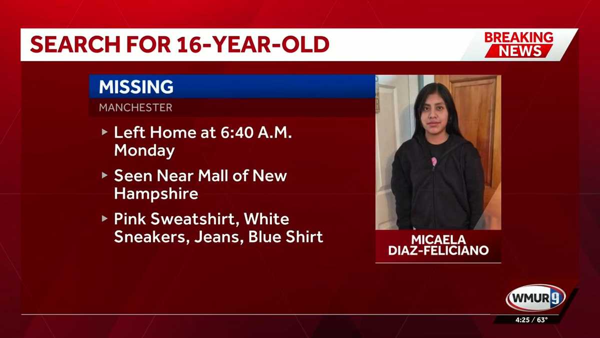 Micaela Diaz-Feliciano missing; Manchester police ask for tips - WMUR