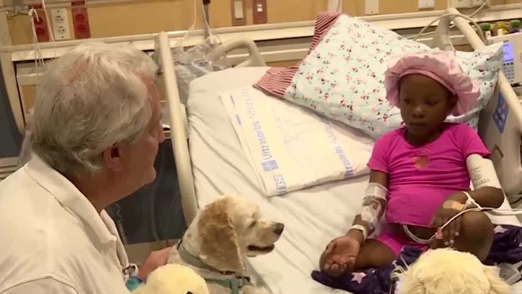 Therapy dogs cheer up pediatric patients on Christmas
