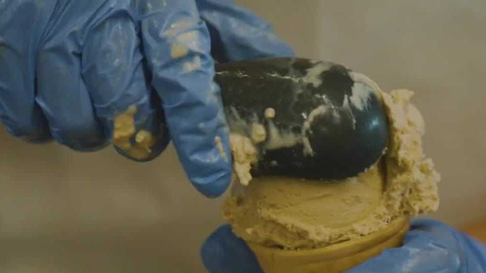 California Garlic Festival guests brave hot day in Stockton