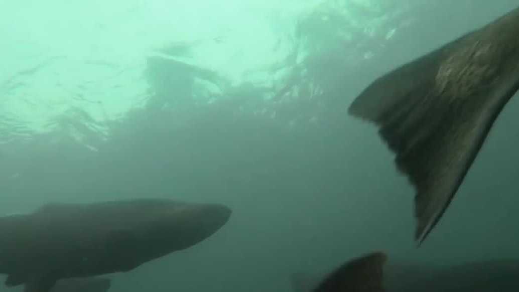 Santa Cruz Harbor prepares for sport salmon fishing season amid storm warnings