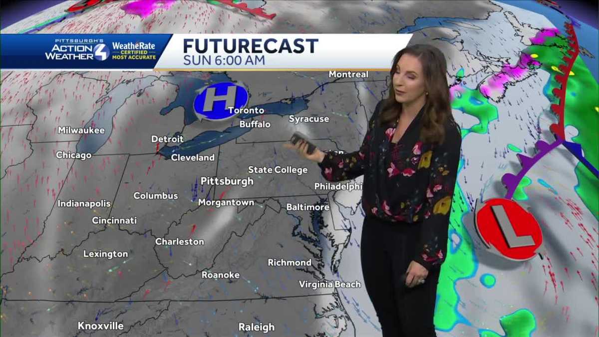 Cold and Breezy, Sunshine for the Weekend