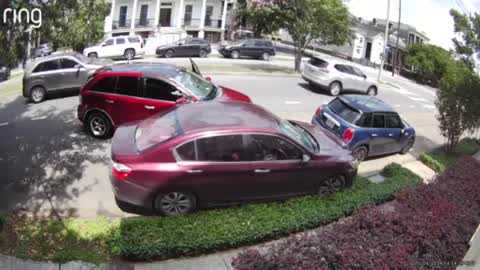 New Orleans Lower Garden District hit-and-run video - Vimarsana News
