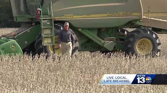 Drought taking its toll on AL crops - Vimarsana News